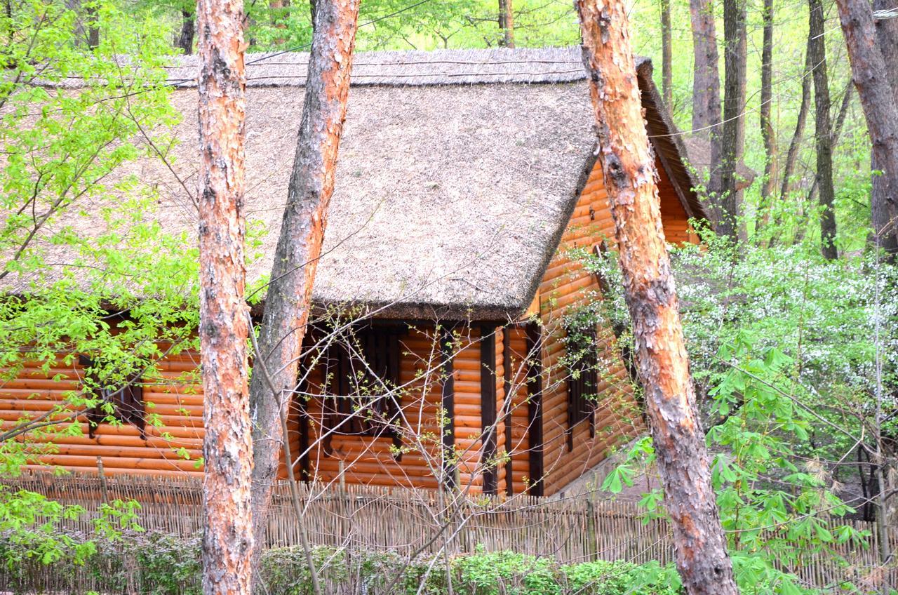 Chumatskiy Shlyah Romankiv Exterior photo